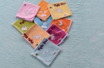 ΠΑΝΕΣ ΧΑΣΕ ΧΡΩΜ/ΤΗ ΚΕΝΤΗΜΑ 35-02